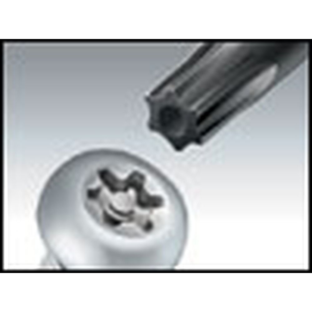 Отвертка звездообразная (Torx) ProsKit 89400-T08H с антивандальной защитой
