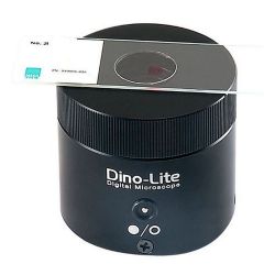 Dino-Lite BL-CDW. Стол с нижней подсветкой